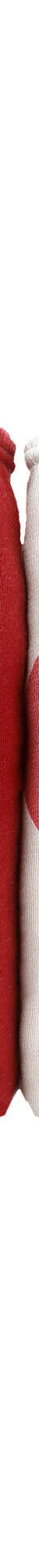 Culotte coton forme maxi imprimé  motifs «coeurs» assortis – Lot de 4 (rouge) Culotte coton forme maxi imprimé  motifs «coeurs» assortis – Lot de 4 (rouge)